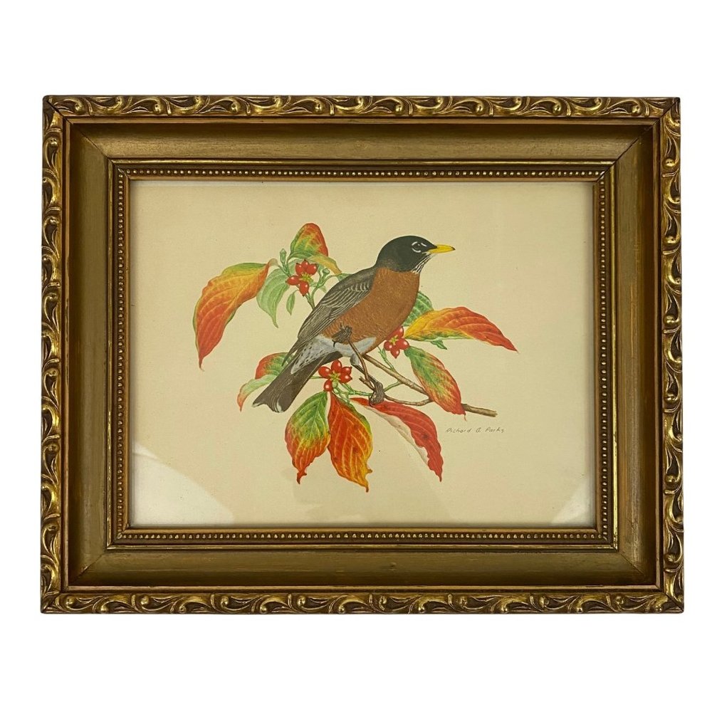 Richard Parks Bird Art Print Framed Wall Art